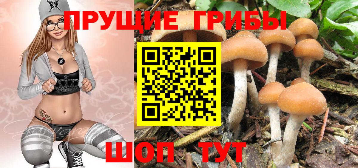 Горячий Ключ  ЭКСТАЗИ  Где купить наркотики?  Мефедрон   Alpha PVP СОЛЬ   Вход с VPN  Гашиш  COCAIN  Марихуана 