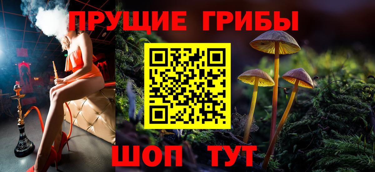 Псилоцибиновые грибы Psilocybine cubensis  Вход с VPN  Горячий Ключ 